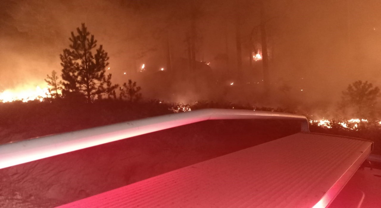 Yatağanda orman yangını