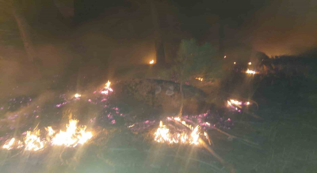 Yatağanda orman yangını söndürüldü