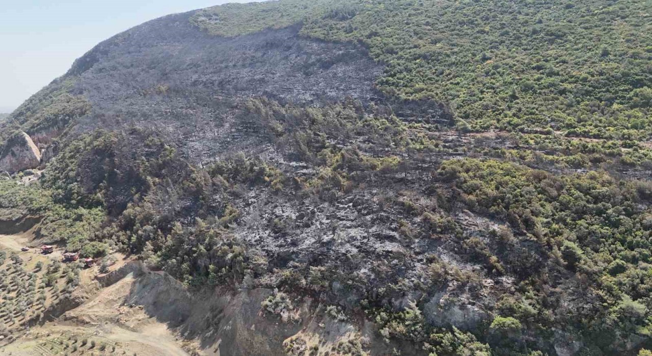 Yayladağında çıkan orman yangını kontrol altına alındı