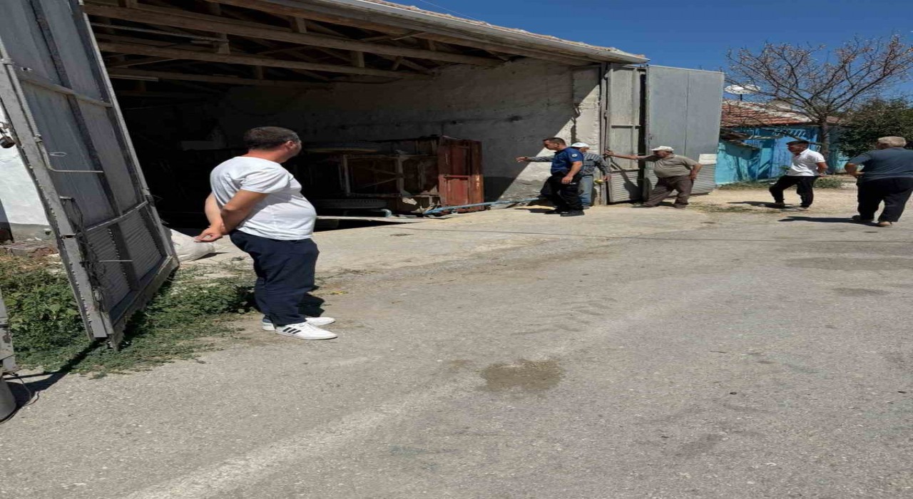 Yem kırma makinesine düşen işçi ağır yaralandı