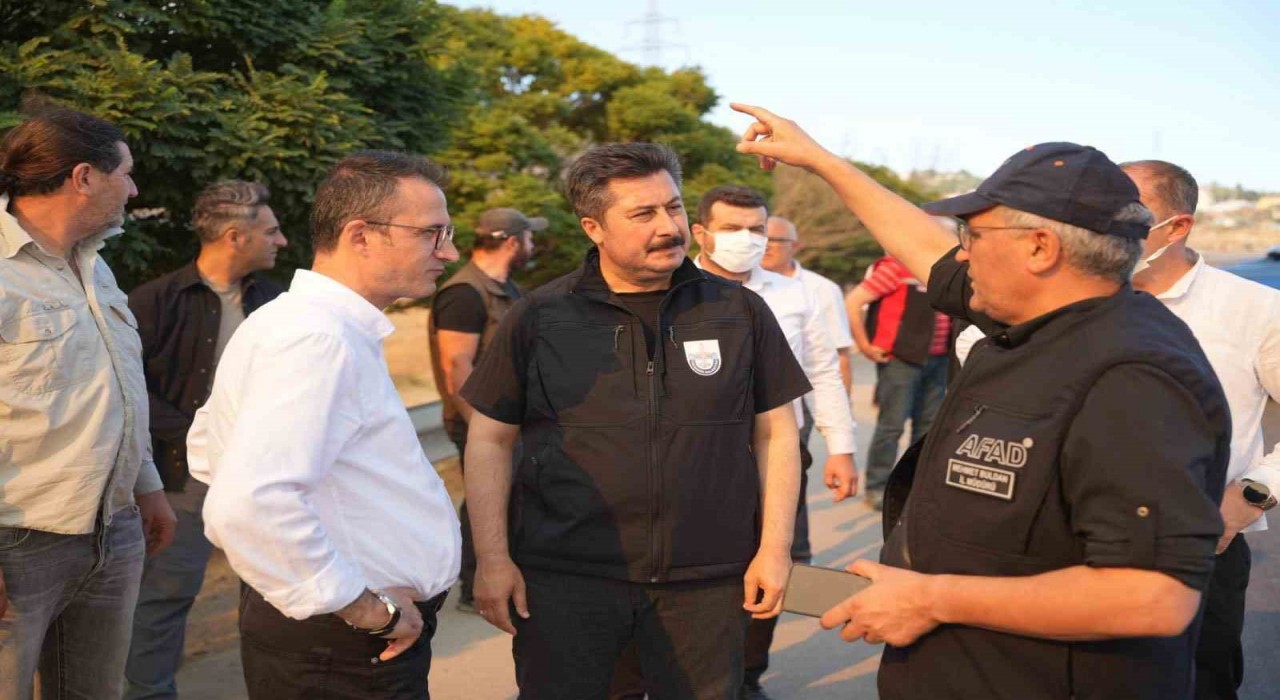 Yenişehirde 100 hektarlık alan küle döndü