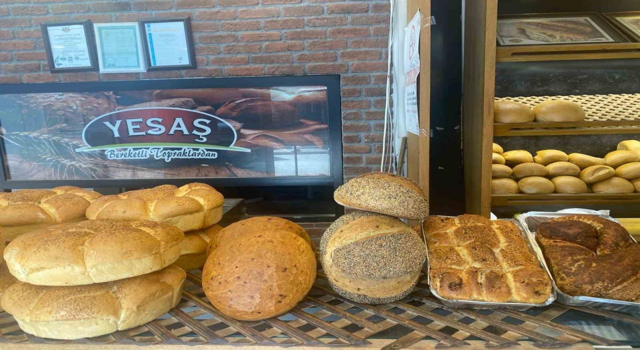 Yenişehirde domatesli ekmek üretildi