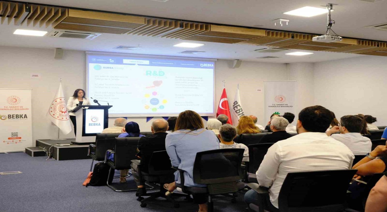 Yerel Kalkınma Hamlesi Teşvik Sistemi Bursada tanıtıldı