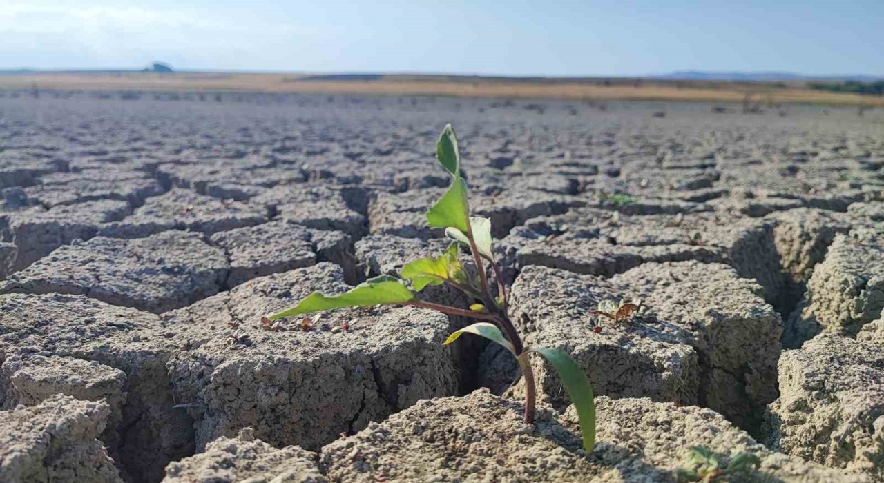 Yozgattaki Gelingüllü Barajında su çekildi, kuraklığın izleri ortaya çıktı