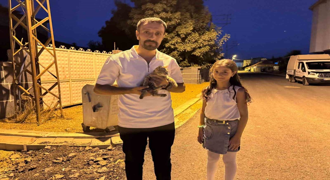Yüksekovada baba-kız yaralı kediyi hayata döndürdü