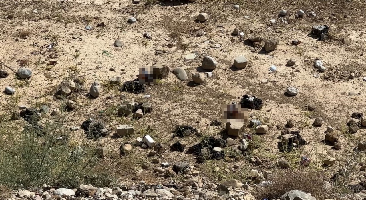 Yüksekovada mezarlık yanına bırakılan bira şişeleri tepki topladı