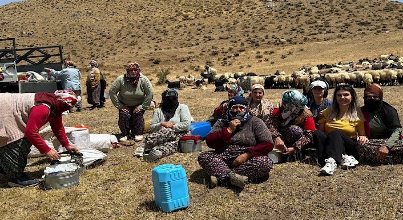 Yüksekovada süt hijyeni eğitimi sürüyor