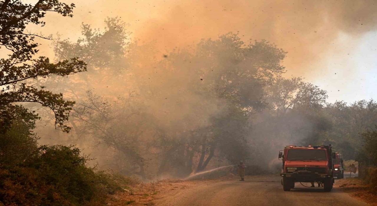 Yunanistanda orman yangınları yerleşim yerine sıçradı