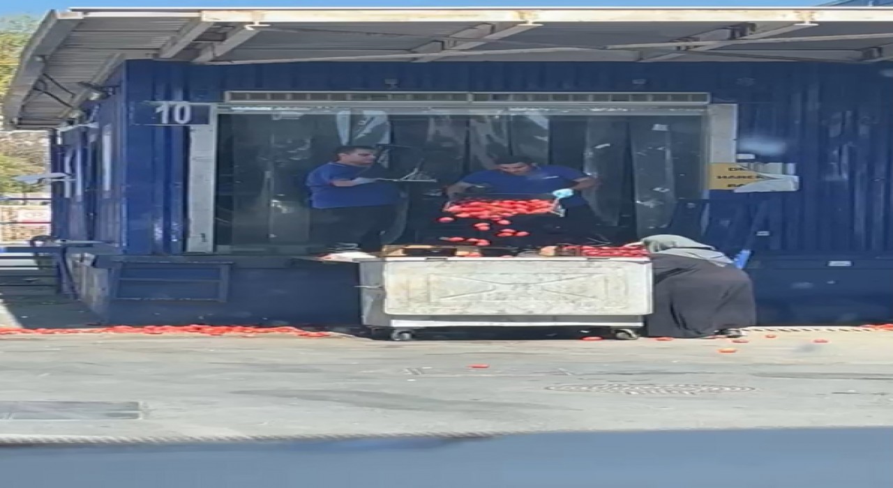 Zincir markette kasalar dolusu domates çöpe döküldü, o anlar tepki topladı