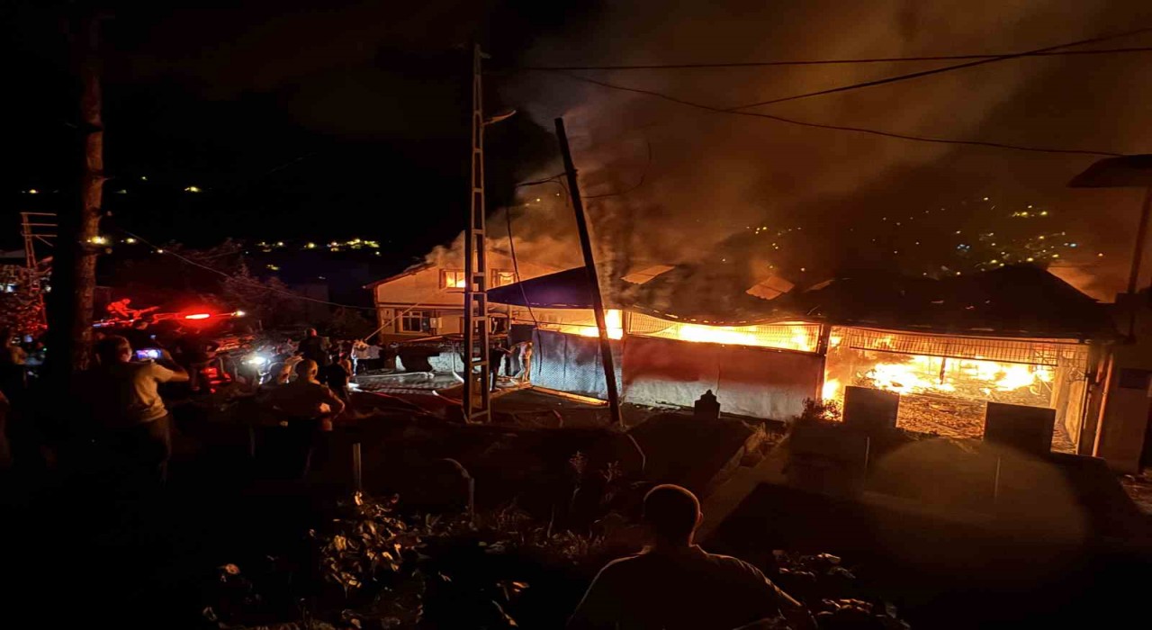 Zonguldakta alevler geceyi aydınlattı: 4 ev 1 yeri kullanılmaz hale geldi