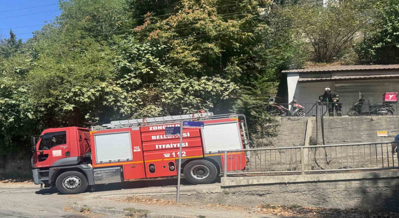 Zonguldakta ormanlık alanda çıkan yangın söndürüldü