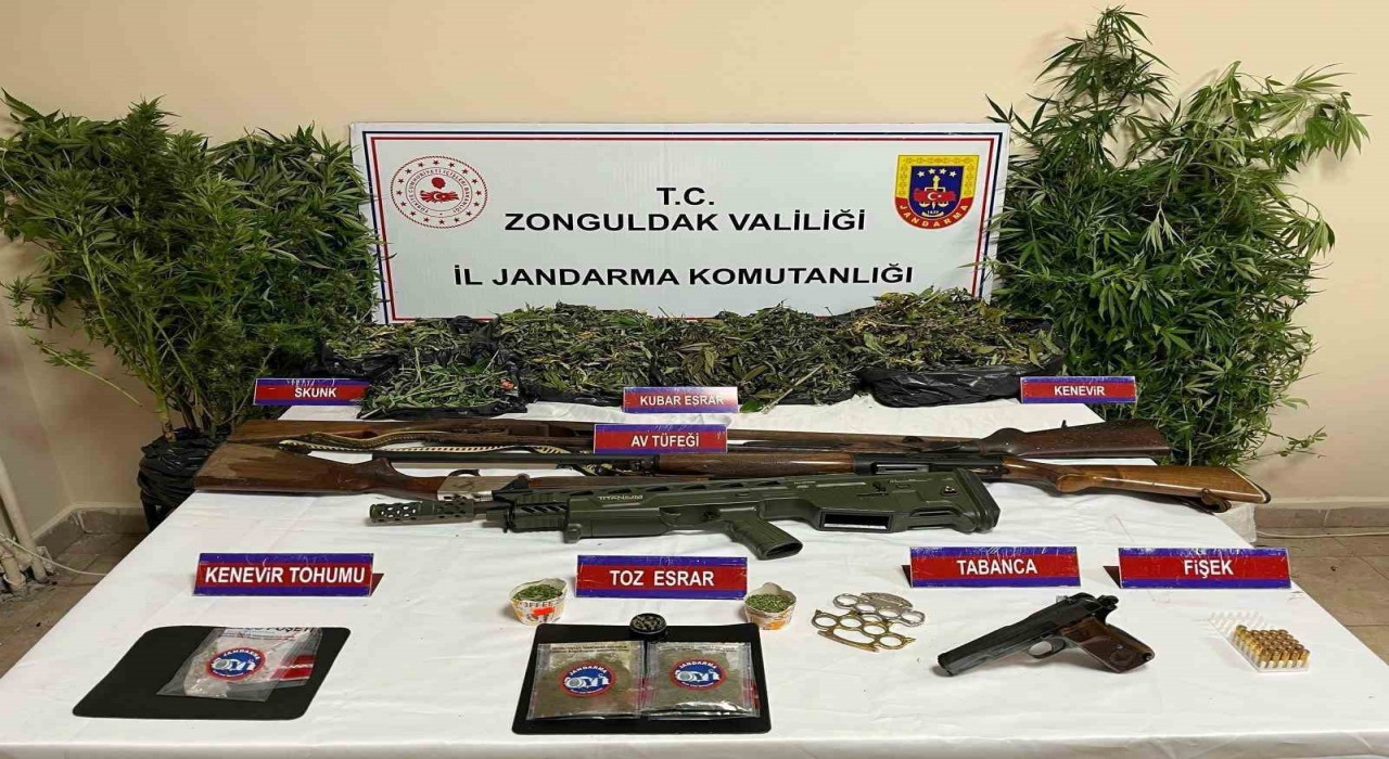 Zonguldakta uyuşturucu operasyonu, 1 kişi tutuklandı