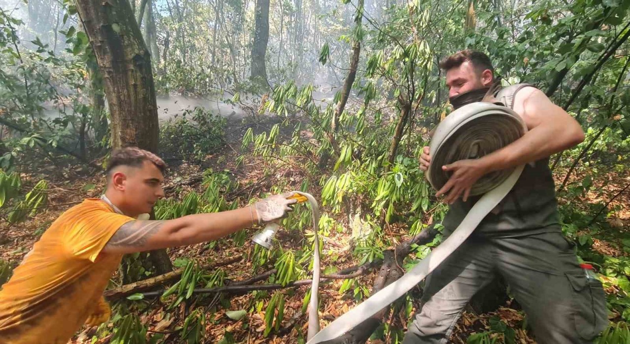 Zonguldaktaki orman yangını kontrol altına alındı