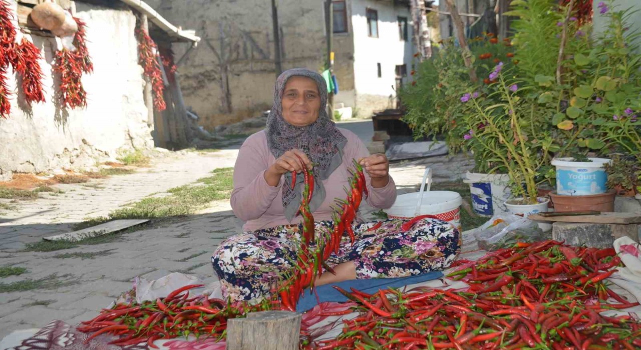 160 yıldır aynı tohumdan acı biber üretiyorlar