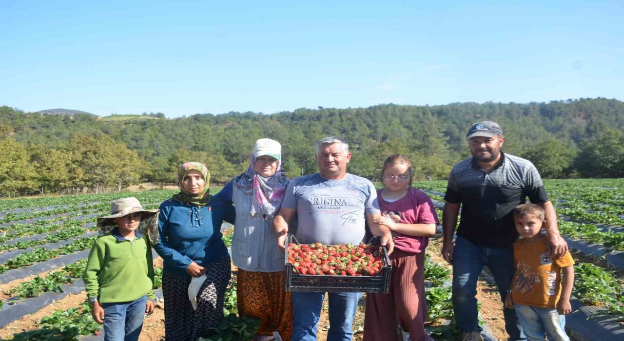 25 yıl yaptıkları işi yürütemediler, son çare olarak bunu buldular