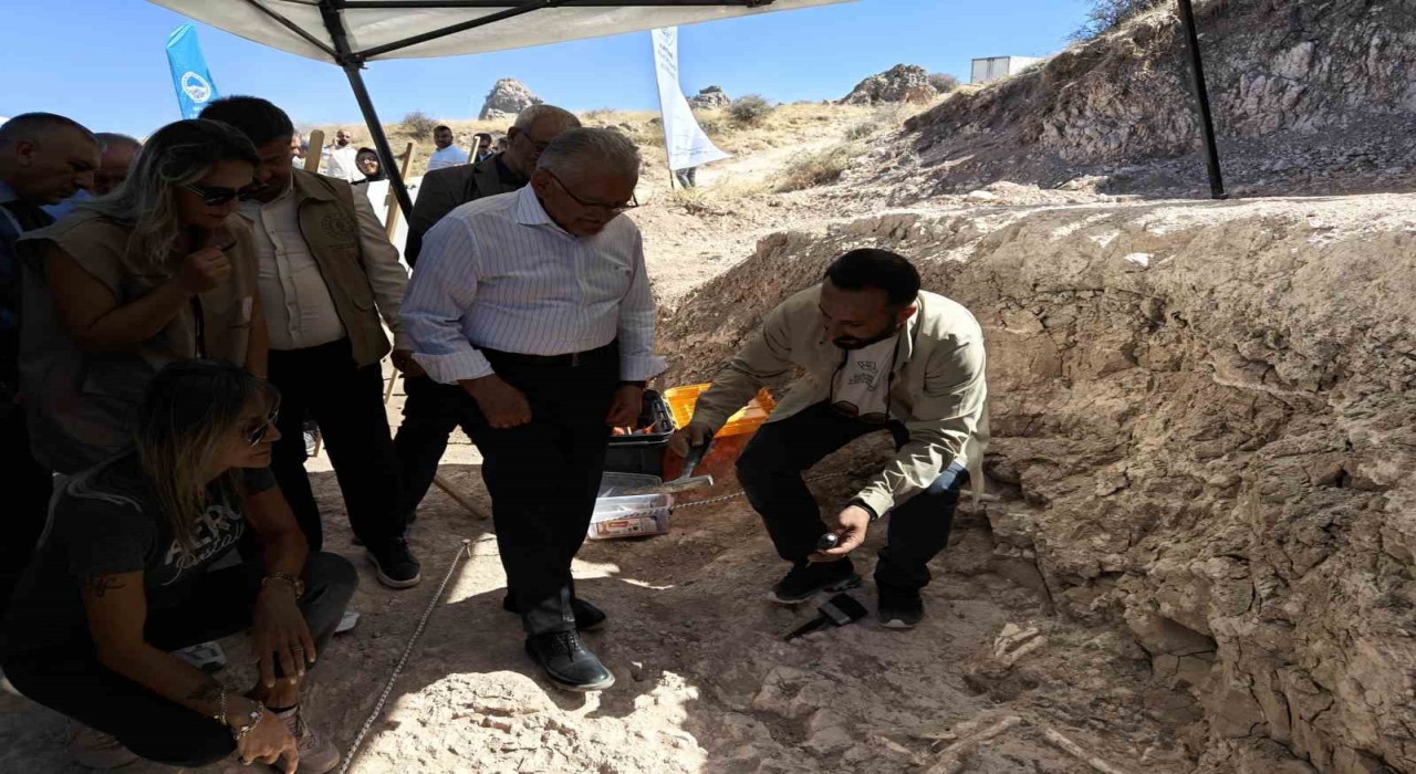 7,7 milyon yıllık kazılarda gelişme: Yeni bir tür olabilir