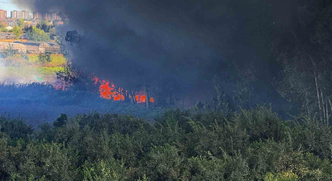 Adanada geri dönüşüm fabrikasında yangın çıktı