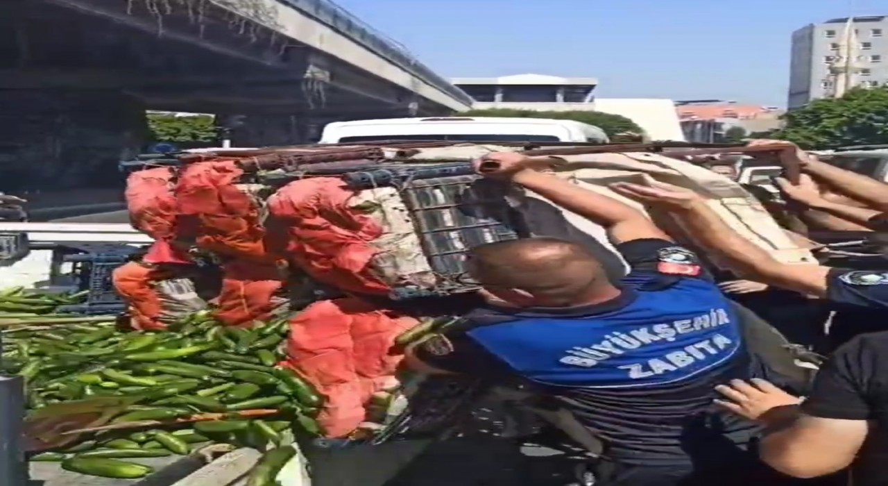 Adanada zabıta seyyara operasyon yaptı, ürünleri ziyan etti