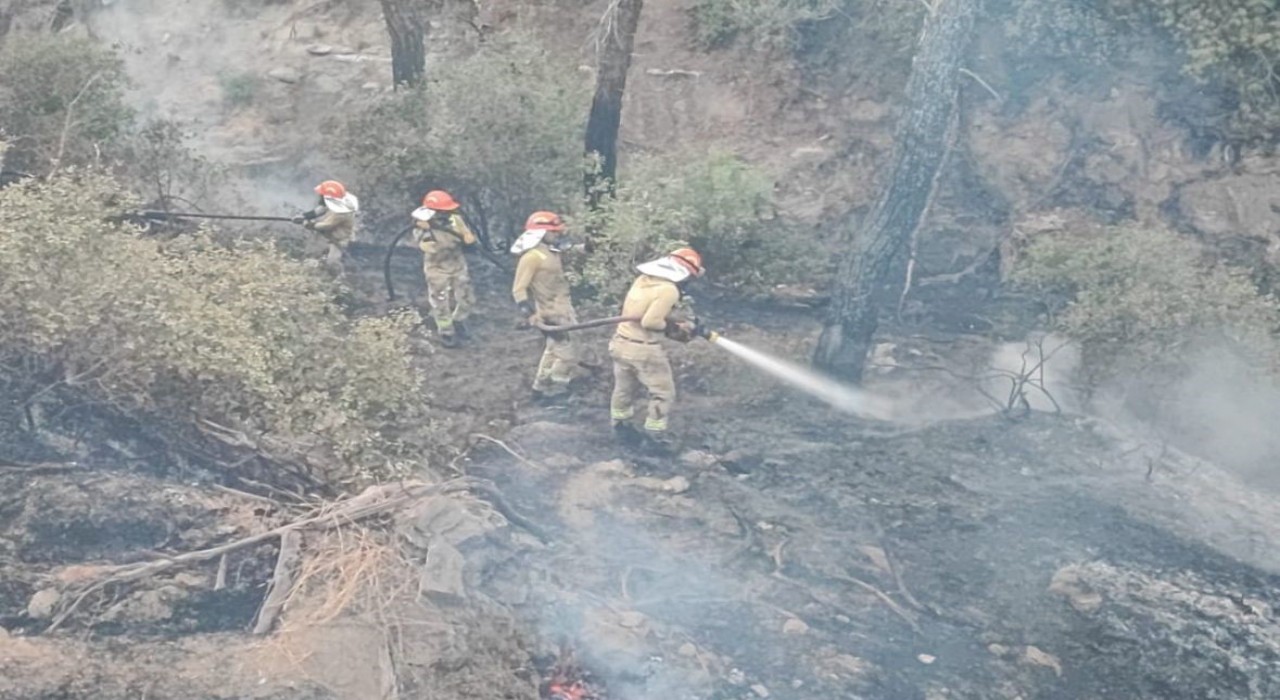 Adanadaki orman yangını kontrol altına alındı