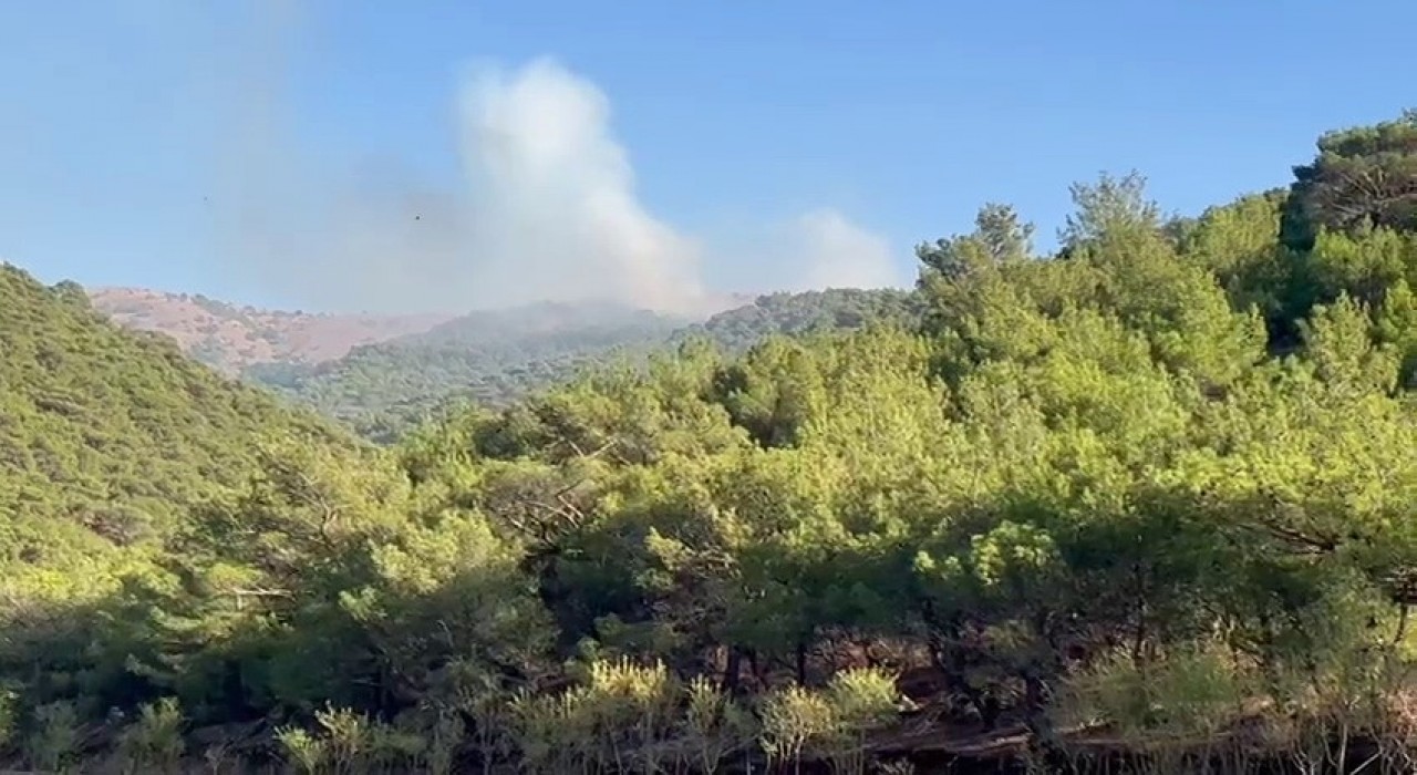 Adıyamanda korkutan orman yangını