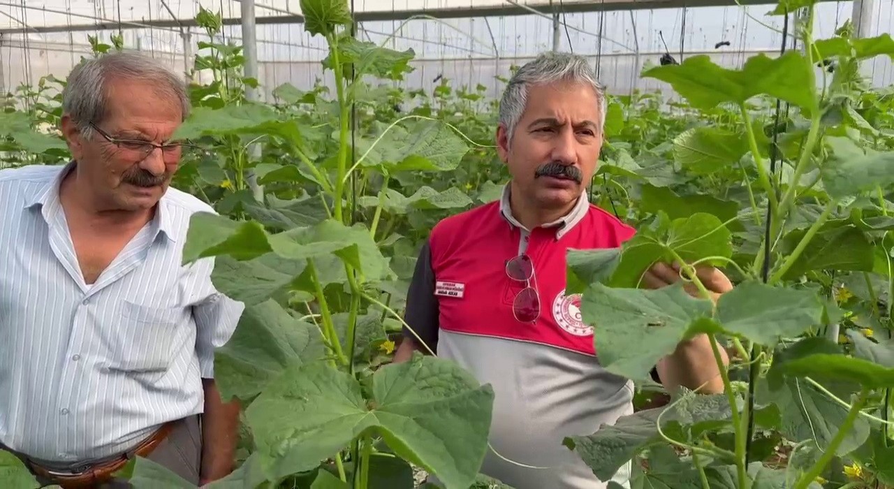 Adıyamanda Sera-GES Projesiyle tarımsal üretim hız kazanıyor