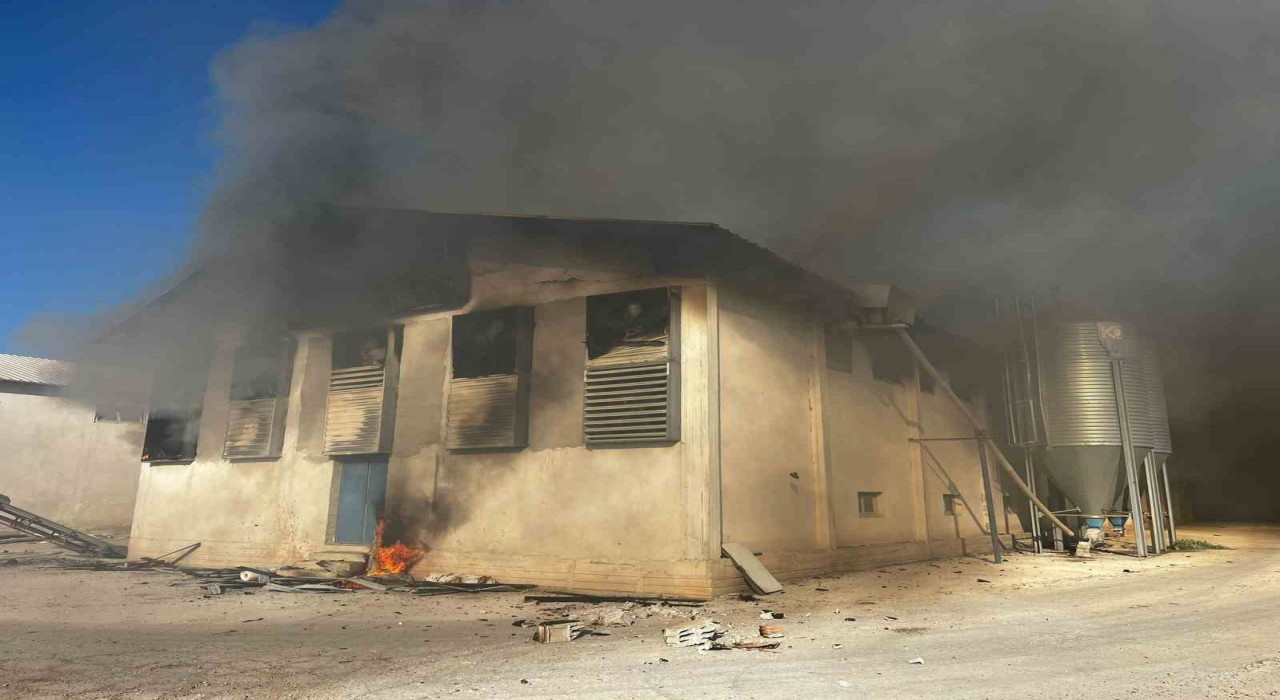 Afyonkarahisarda tavuk çiftliğinde yangın