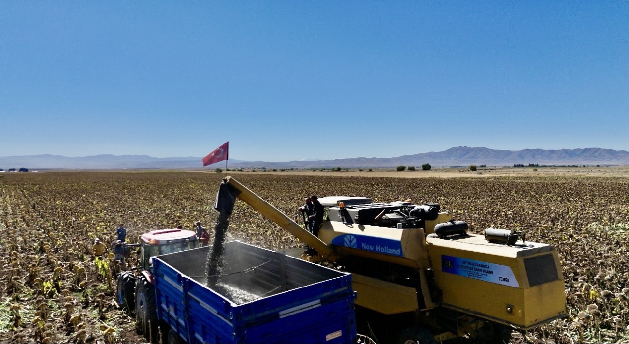 Ağrıda ayçiçeği üretiminden 758 milyon TLlik kazanç bekleniyor