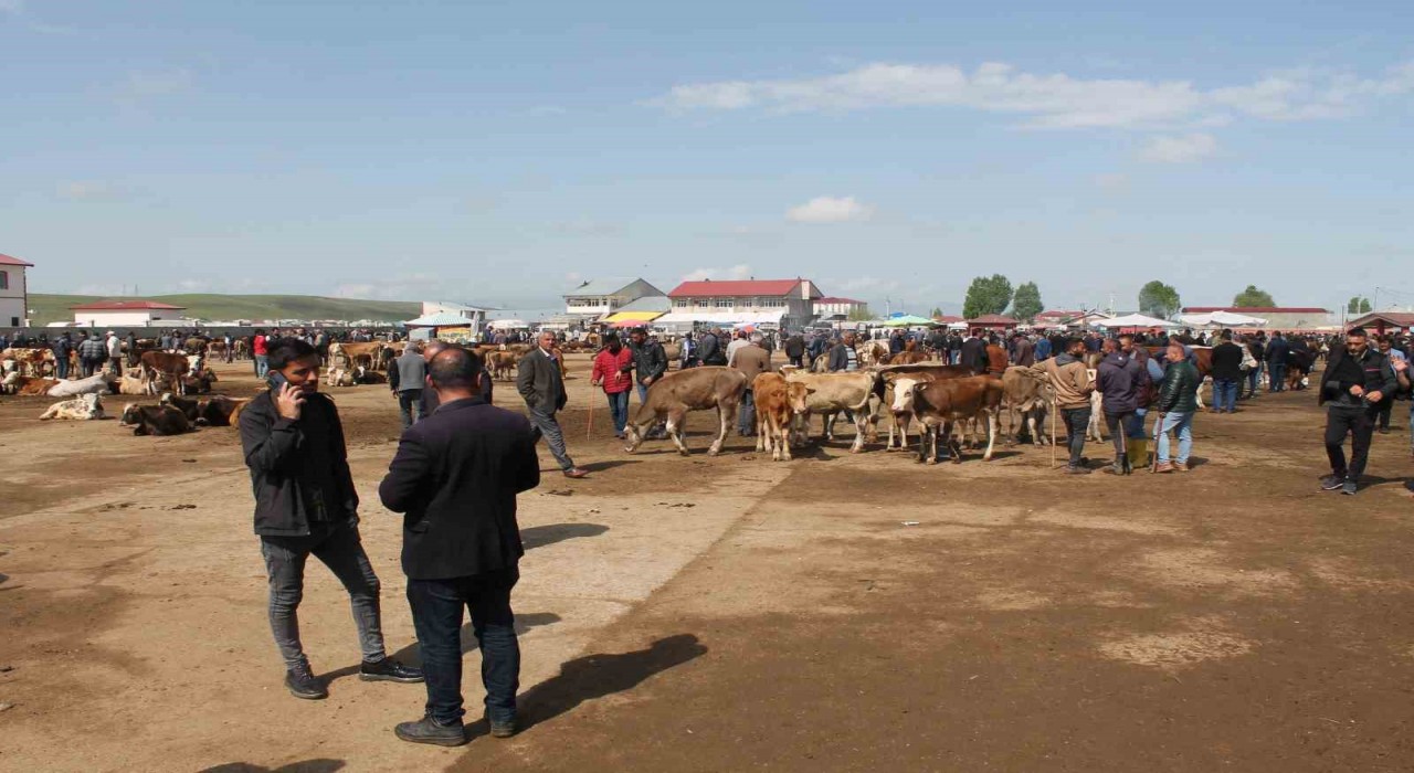 Ağrıda Canlı Hayvan Borsası 10 Eylülde açılacak