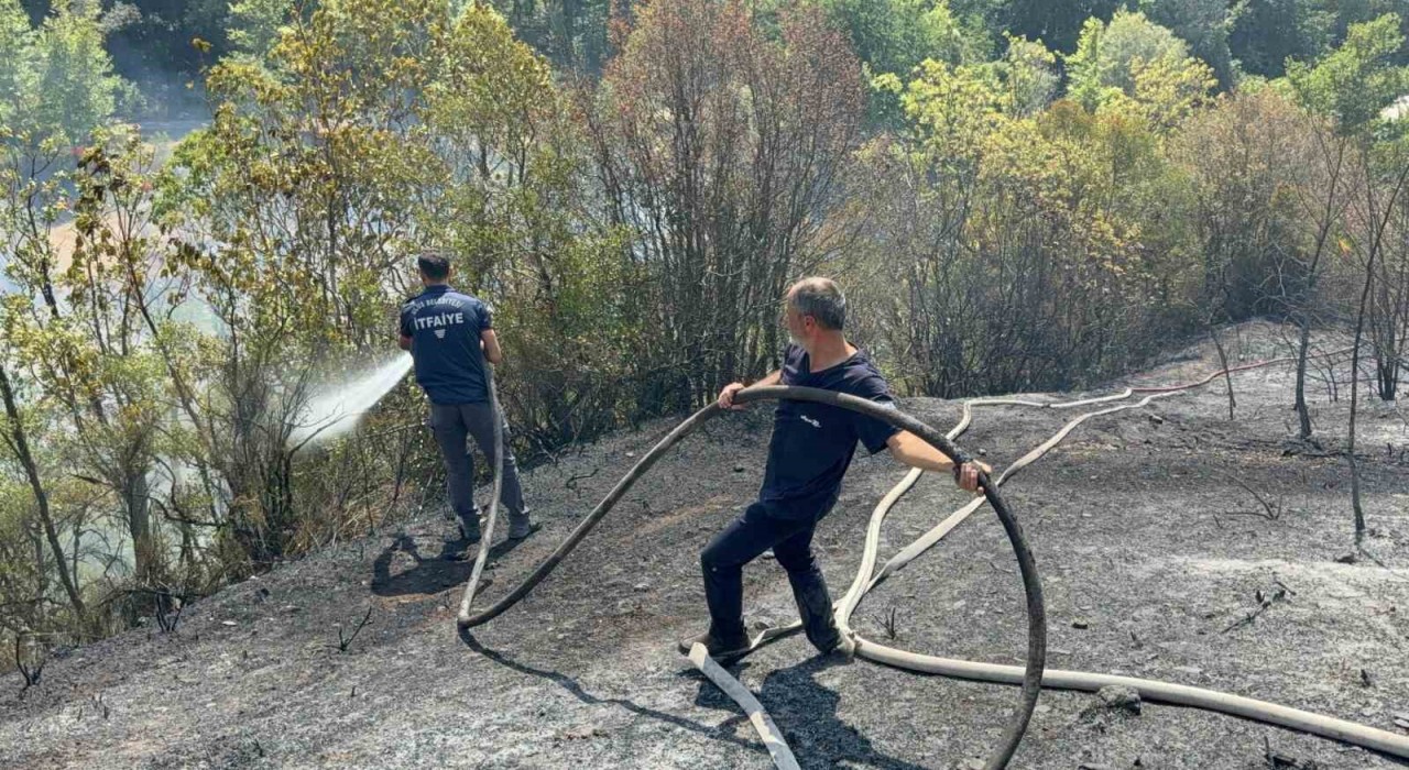 Ahşap evden ormanlık alana sıçrayan yangın kontrol altına alındı