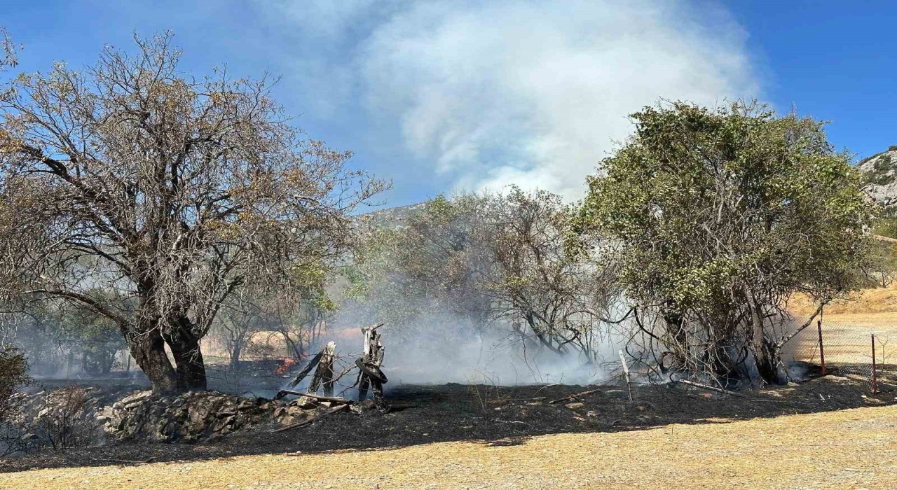 Aksekide otluk yangın büyümeden söndürüldü