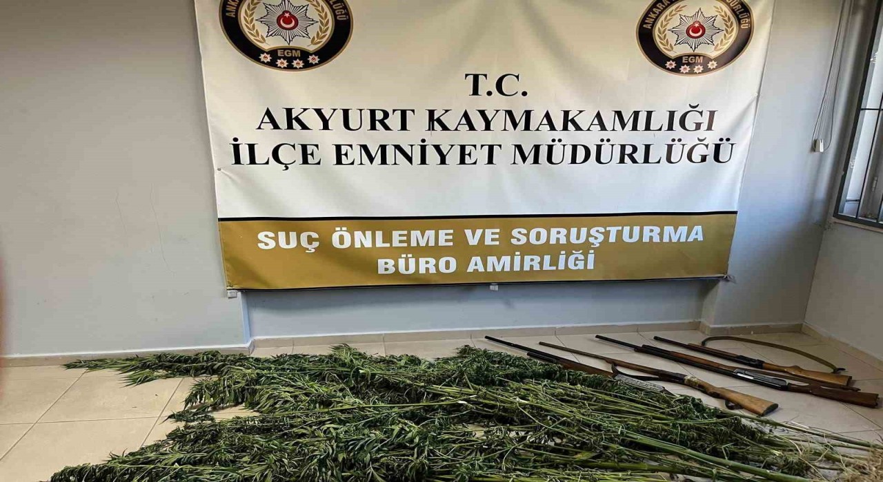 Akyurtta uyuşturucu operasyonu: Hint keneviri ve ruhsatsız tüfekler ele geçirildi
