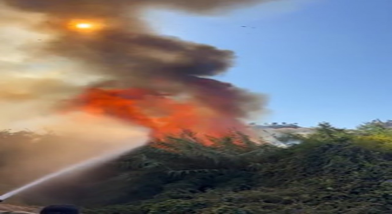 Alanyada çalılık alanda çıkan yangında 2 sera ve 2 dönüm arazi zarar gördü