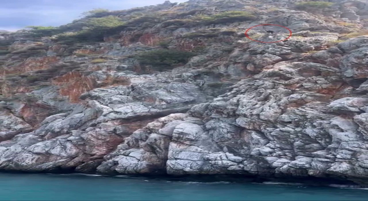 Alanyada denize ölümüne atlayış