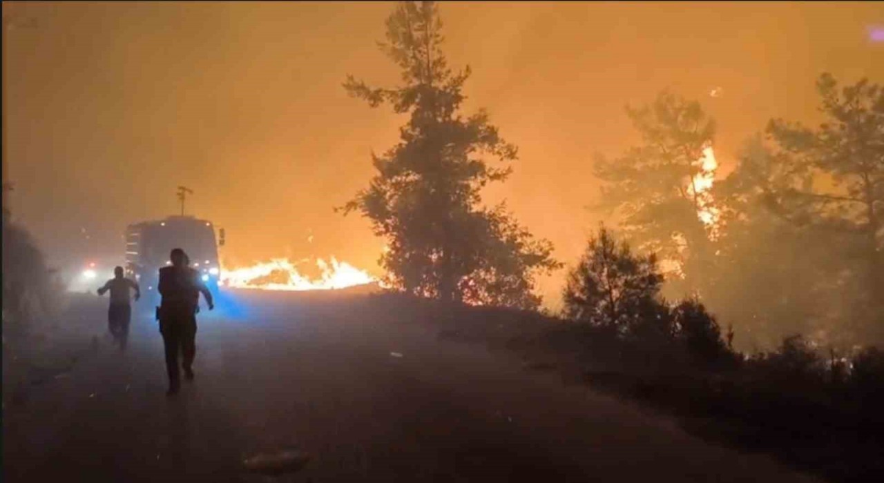 Alanyada orman yangını