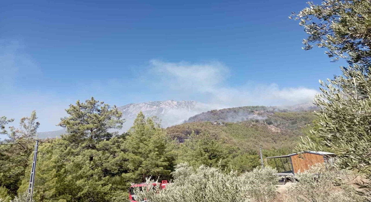 Alanyada ormanlık alan yangınları kontrol altına alınmaya çalışılıyor