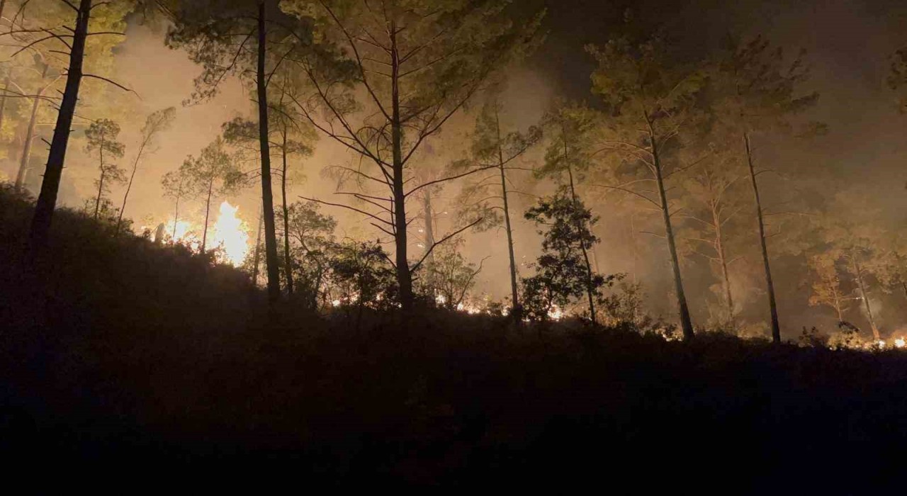 Alanyada ormanlık alandaki yangın