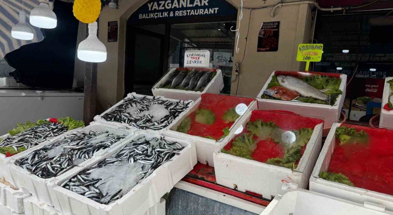 Alaplıda balık tezgâhları boş kaldı