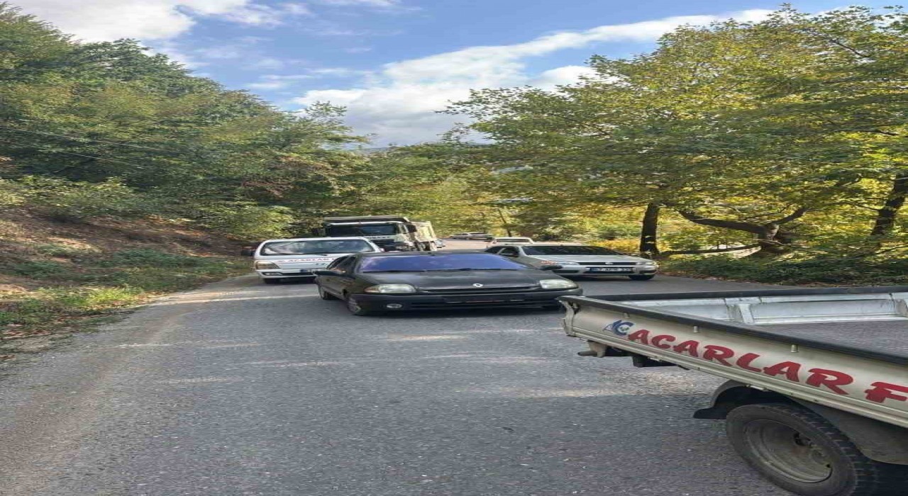 Alaplıda yola devrilen ağaç, vatandaşlar  tarafından kaldırıldı