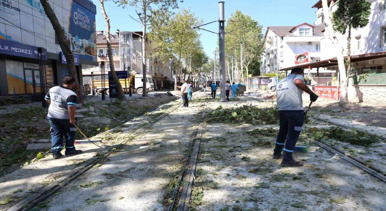 Alikahya Tramvay Hattında ağaçlar budanıyor