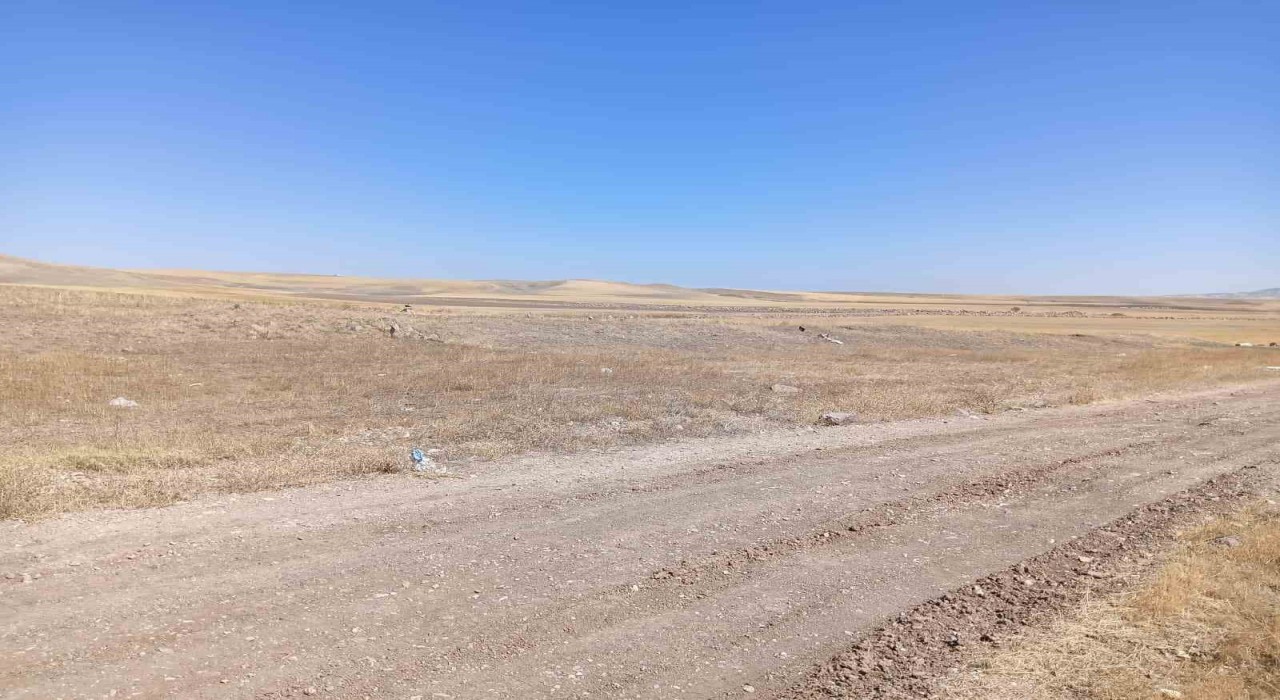 Ankaradaki bacanak cinayetinde 10 yıllık husumet iddiası