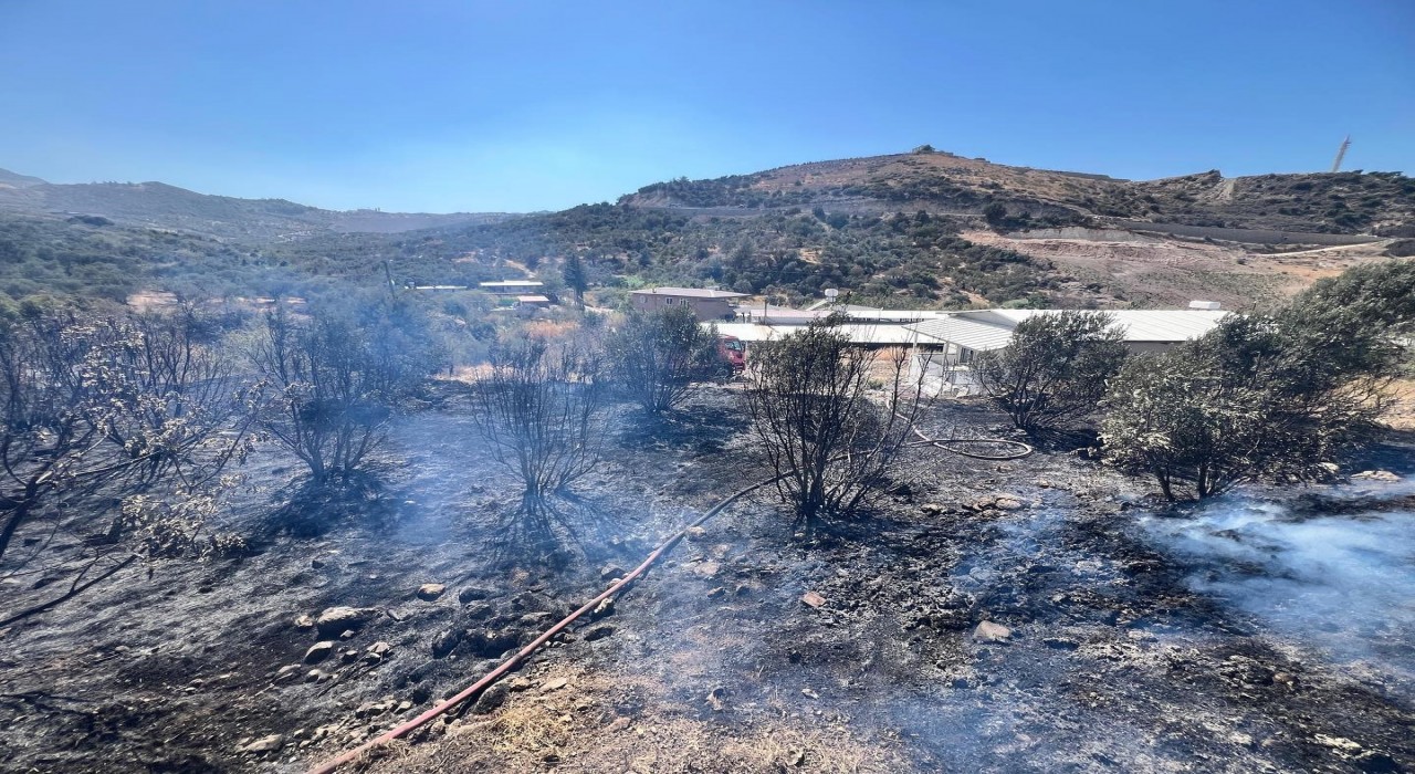 Antakyada bahçe yangını