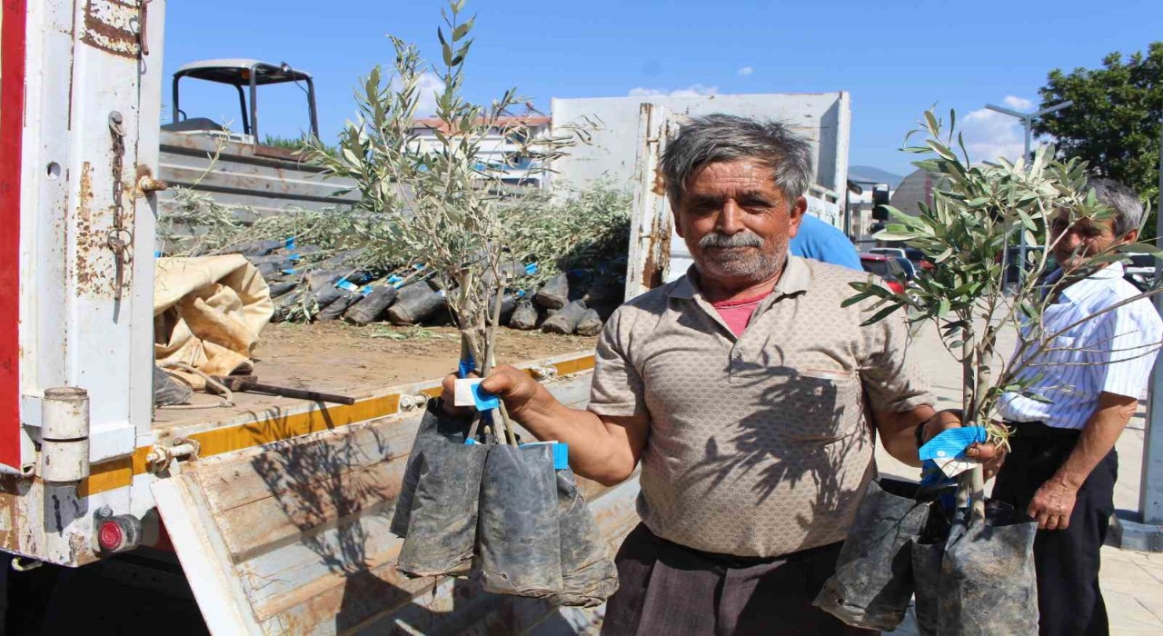 Antalya Büyükşehir Belediyesinden fidan desteği