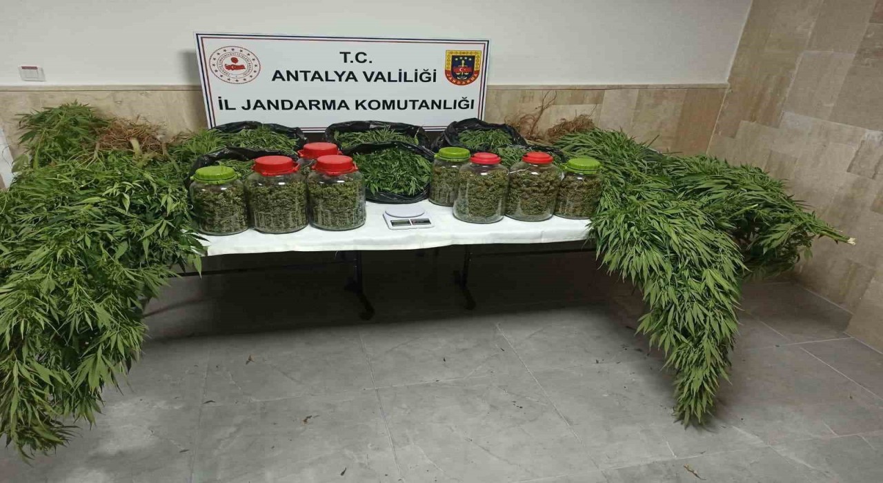 Antalyada 43 kilo uyuşturucu madde ele geçirildi