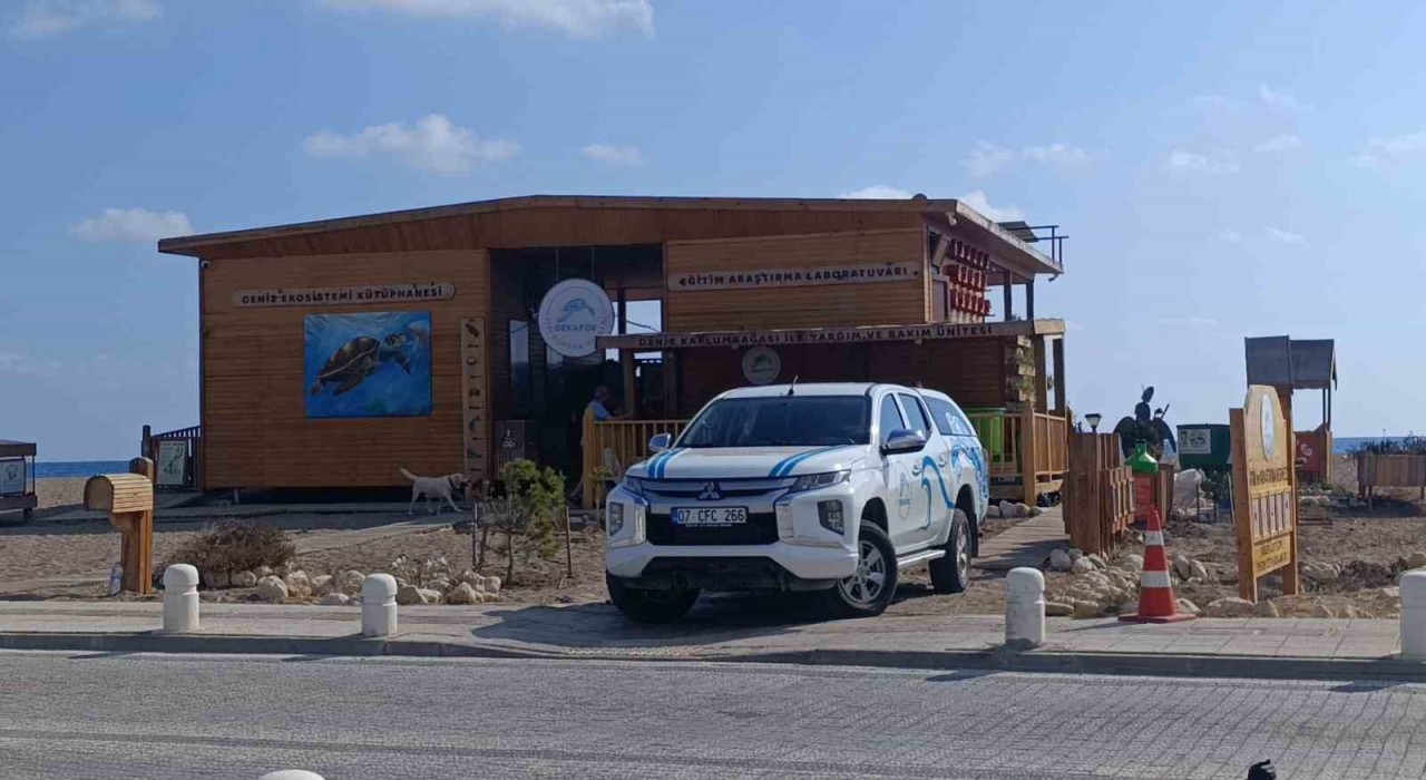 Antalyada deniz kaplumbağası ambulansı göreve başladı