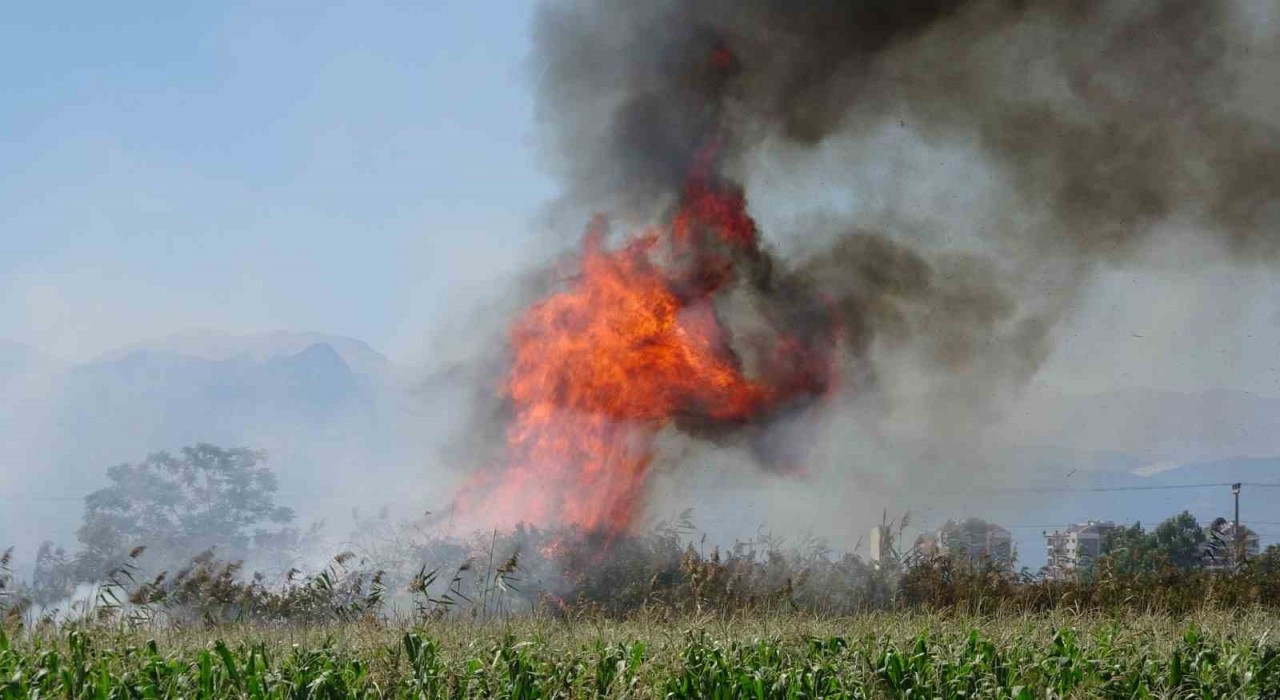 Antalyada kargılık alanda yangın
