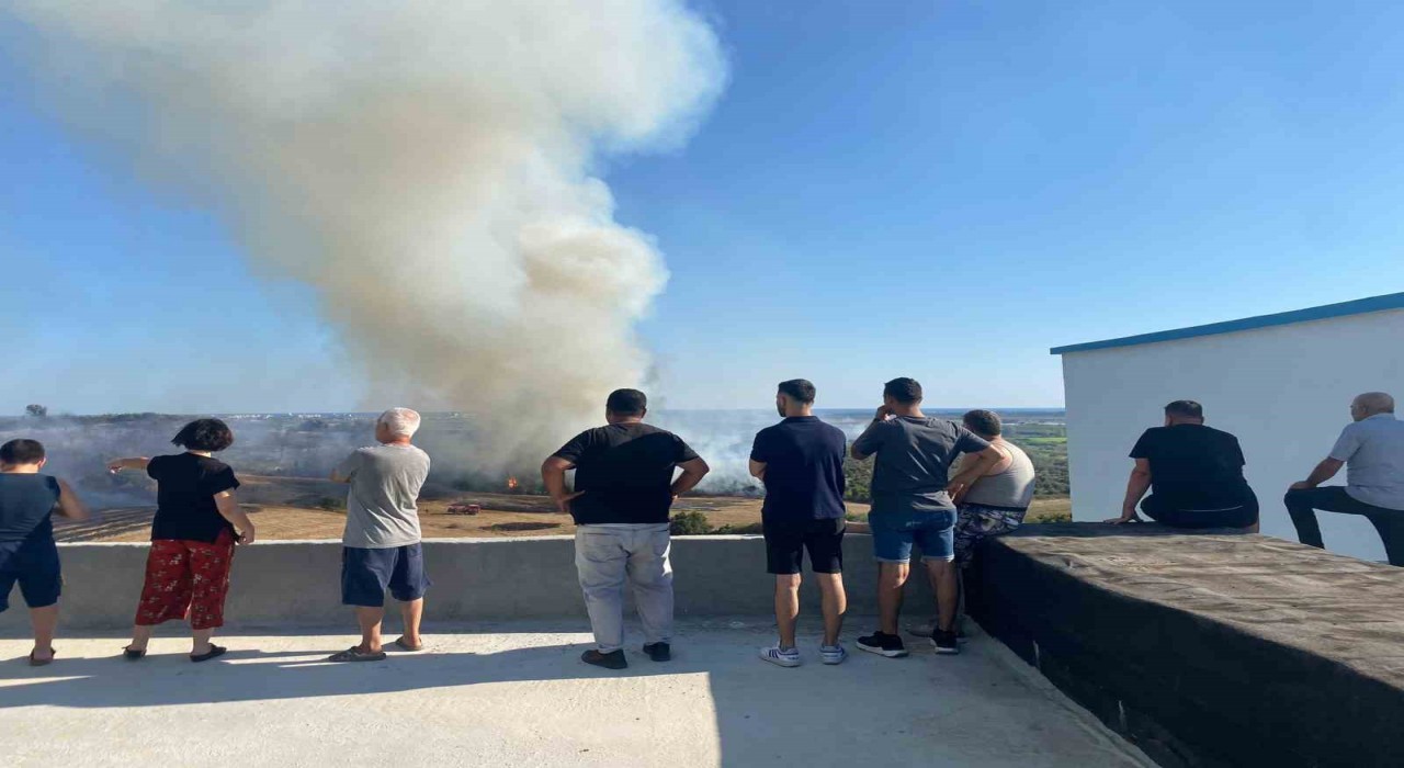 Antalyada makilik alanda çıkan yangın zeytin ağaçlarına zarar verdi