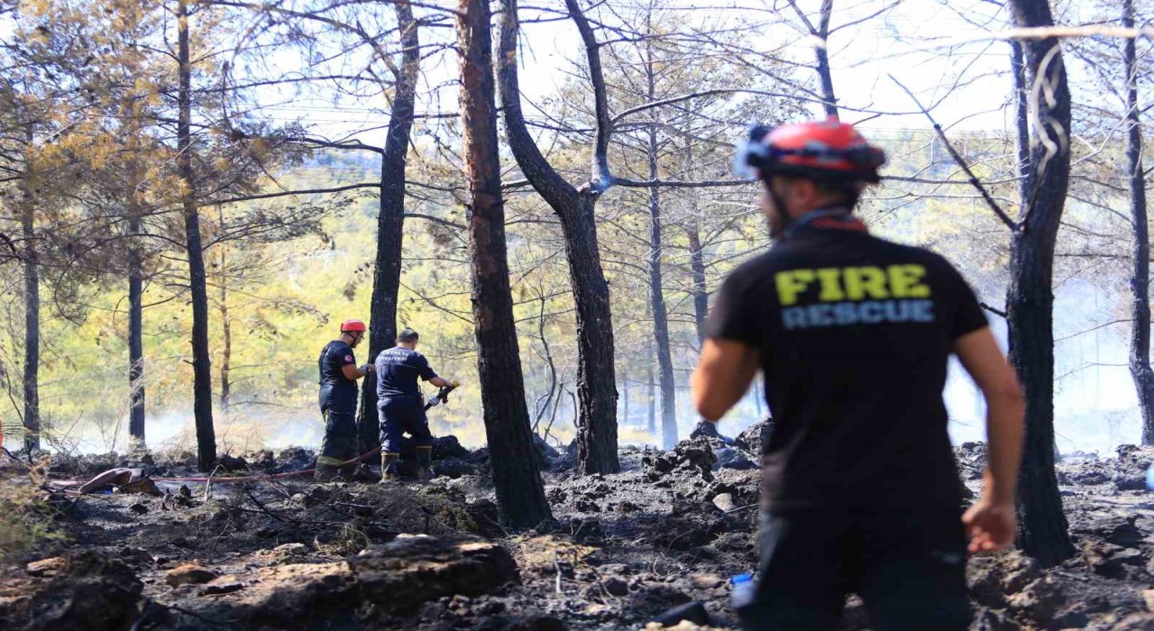 Antalyada ormanlık alandaki yangın büyümeden söndürüldü: Kova ve küreklerle müdahale ettiler