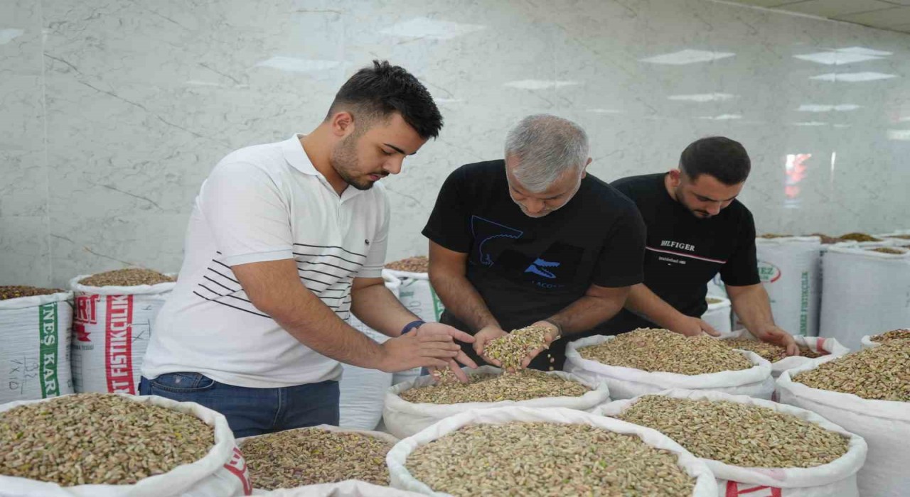 Antep fıstığına ithalat izni çıkıcınca fiyatlar ve satışlar düştü