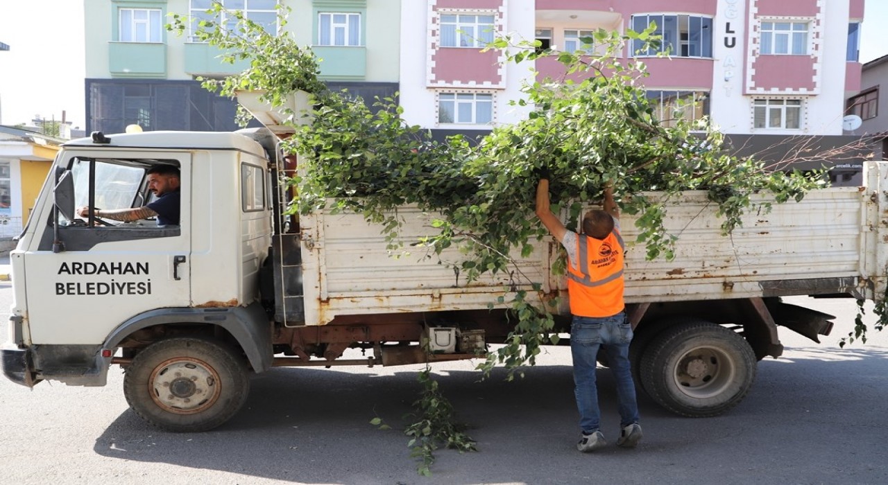 Ardahan Belediyesinden ağaç budama faaliyeti