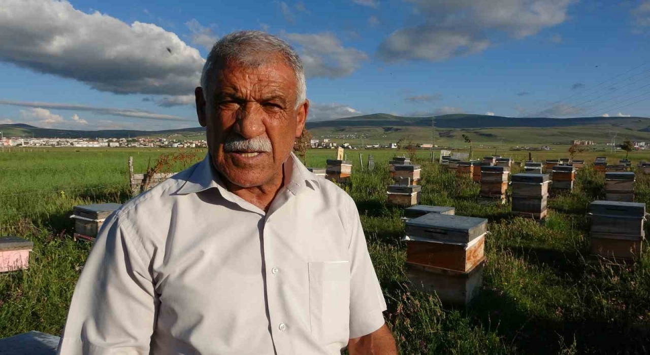 Ardahanda 450 ton bal üretildi